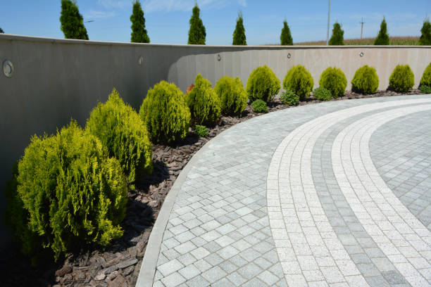 Best Local Driveway Pavers  in Ravena, NY